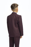 cairidi wine boys suit